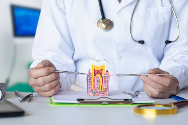 Best Emergency Broken Tooth Repair in Wyboo, SC